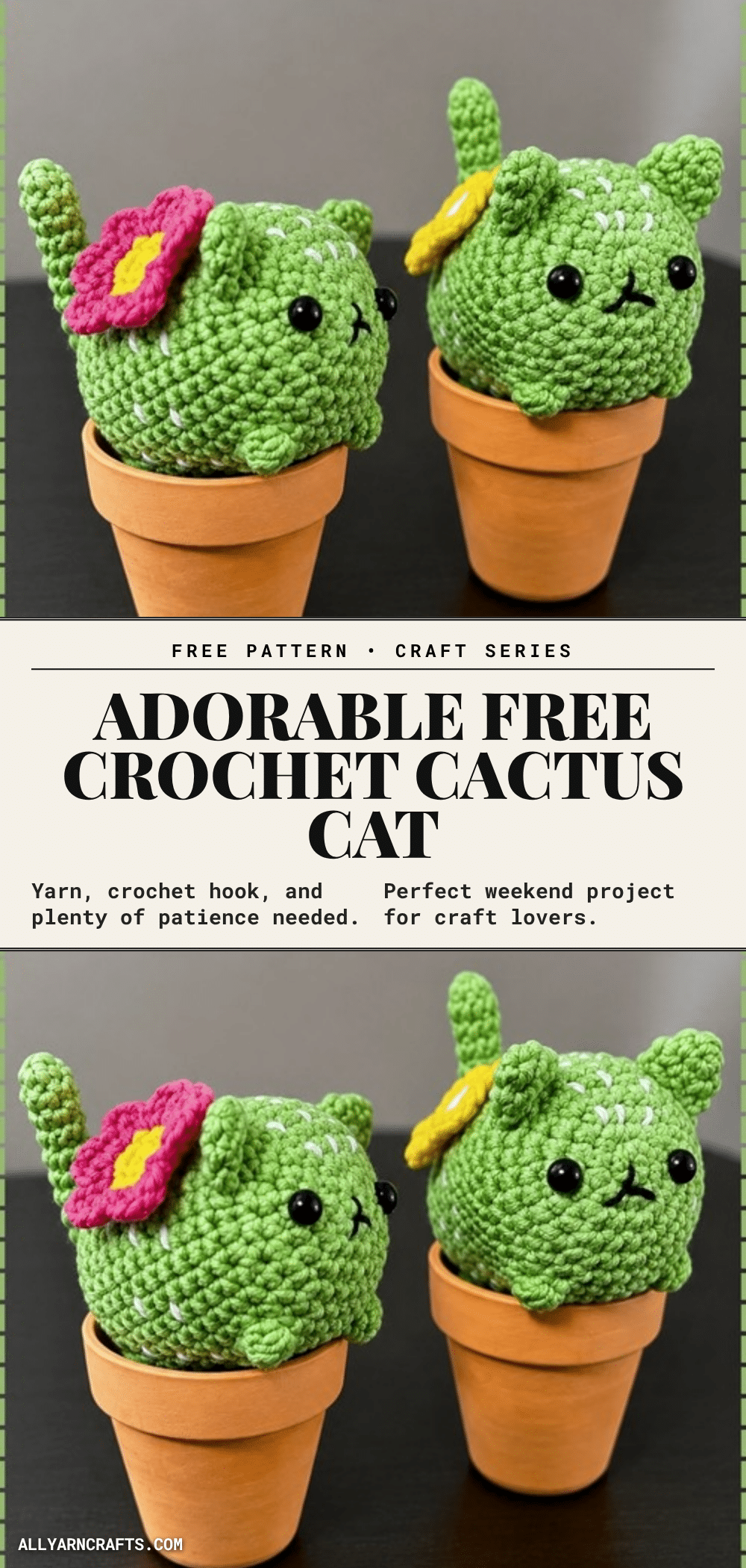cactus cat pattern crochet pattern