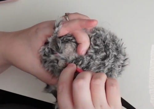 hedgehog amigurumi crochet project crochet project detail 2