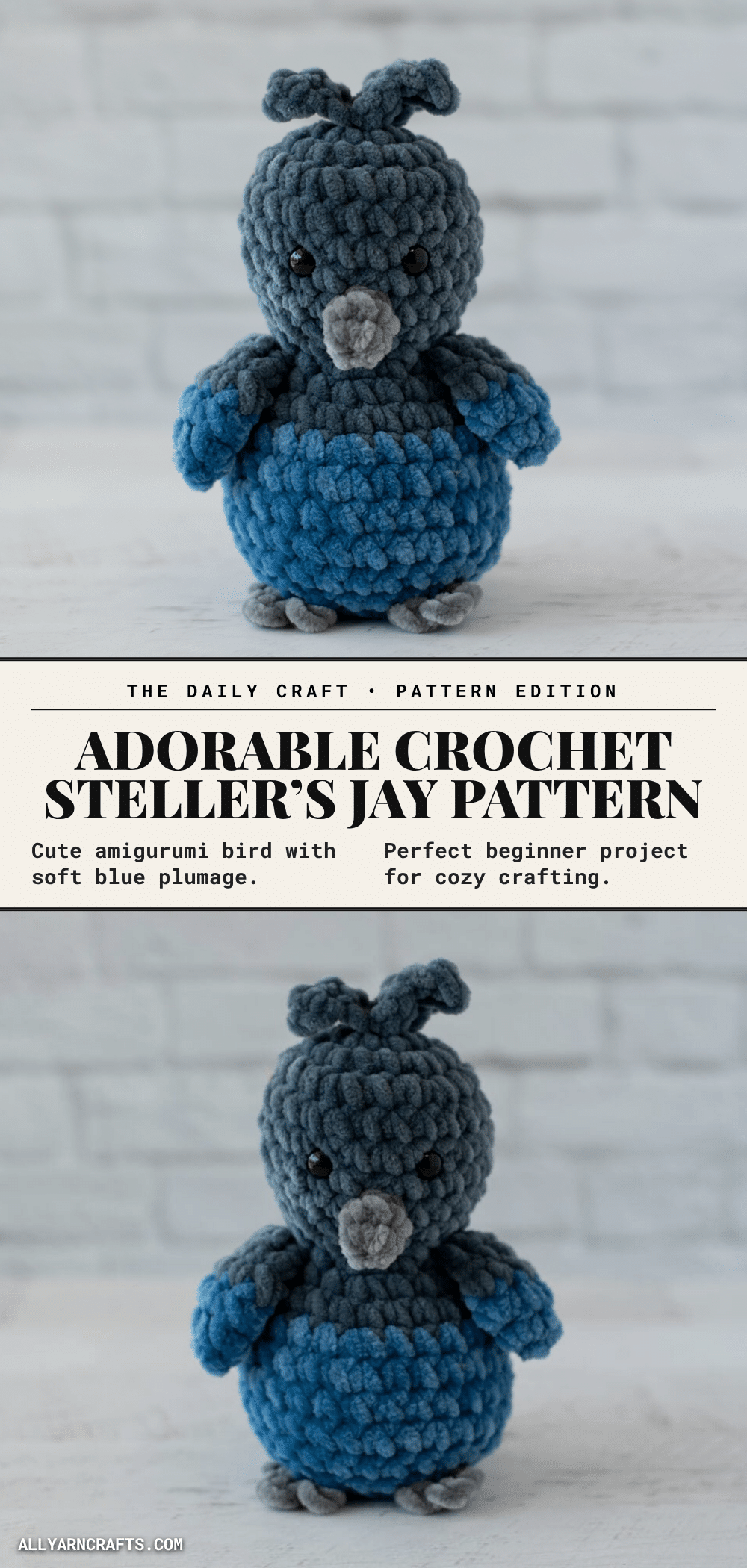 Stellers Jay amigurumi crochet pattern